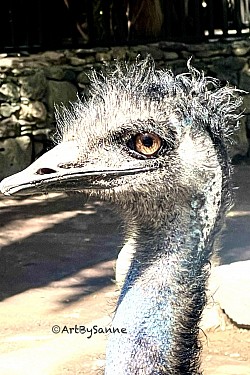 EMU