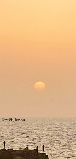 SUNFUN