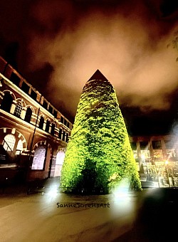 Photo Watermarked
